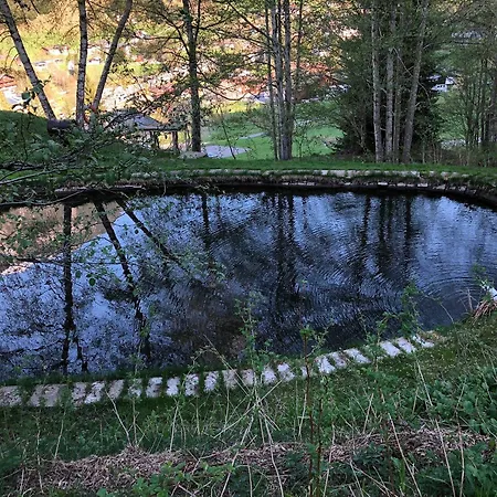 Hotell Bio-hotel Saladina 3*