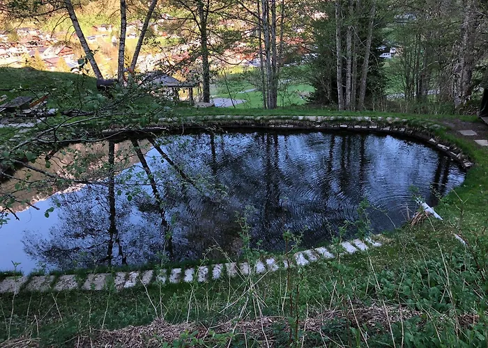 Hotel Bio-hotel Saladina 3*