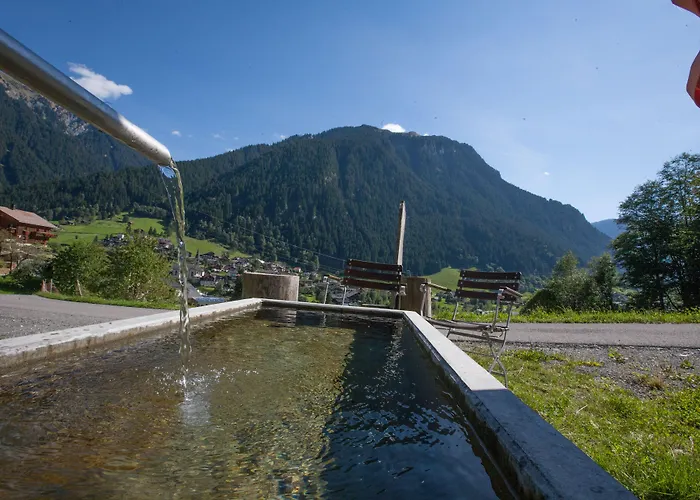 Bio-hotel Saladina Hotel 3*