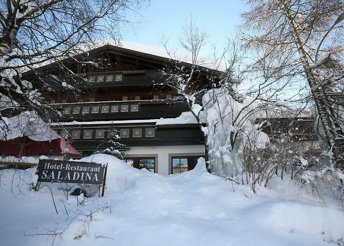 Hotel Bio-hotel Saladina