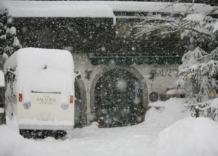 Hotel Bio-hotel Saladina